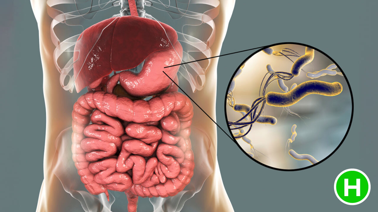 Gastritis Causes High Carb Health