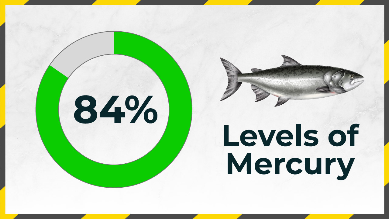 Mercury-Levels-in-Water