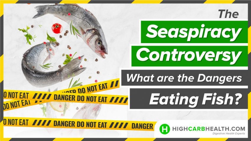 The Seaspiracy Controversy What are the Dangers of Eating Fish