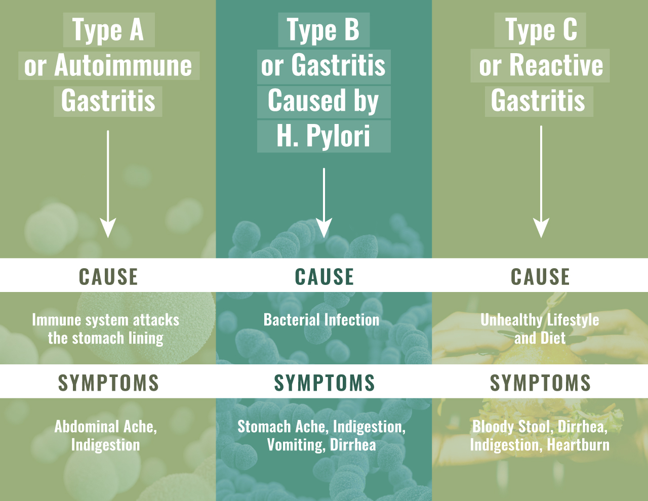 type A,B,C chronic gastritis