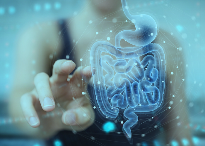 Heal Crohn’s Disease Naturally - High Carb Health